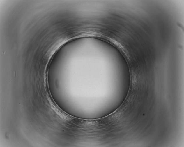 X0000100381423200806201640