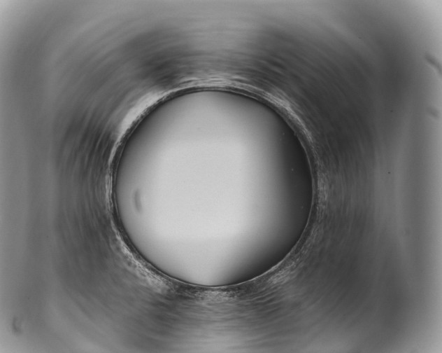 X0000100381424200806201640
