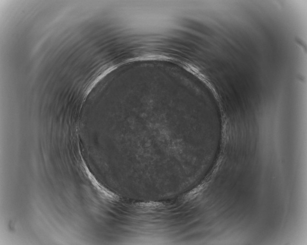 X0000100381425200806201640