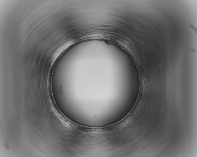 X0000100381426200806201640