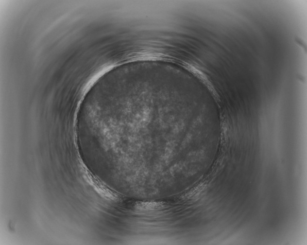 X0000100381427200806201640