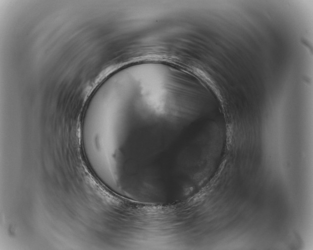 X0000100381428200806201640