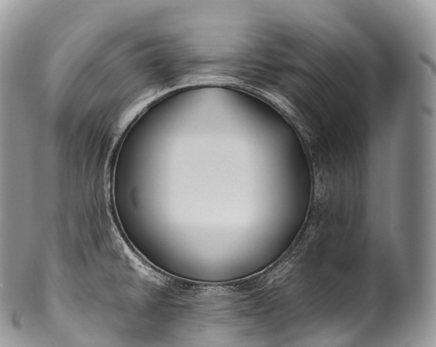X0000100381430200806201640