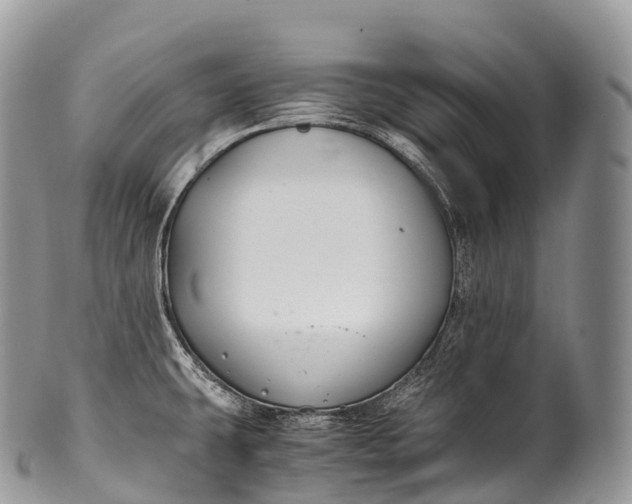 X0000100381431200806201640