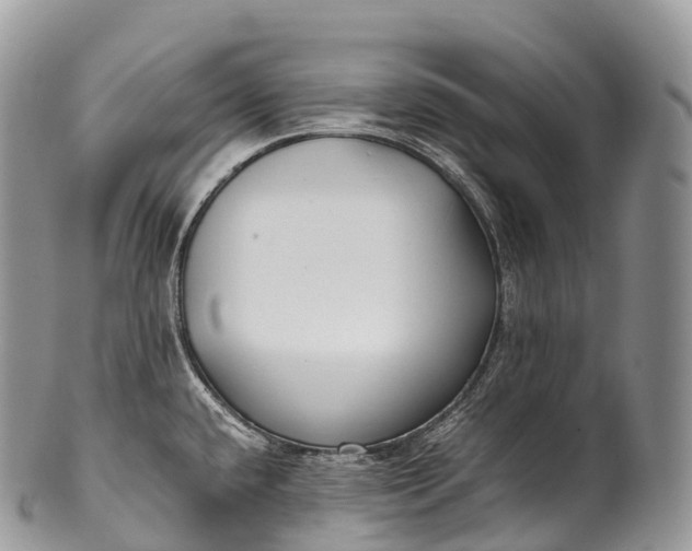 X0000100381432200806201640
