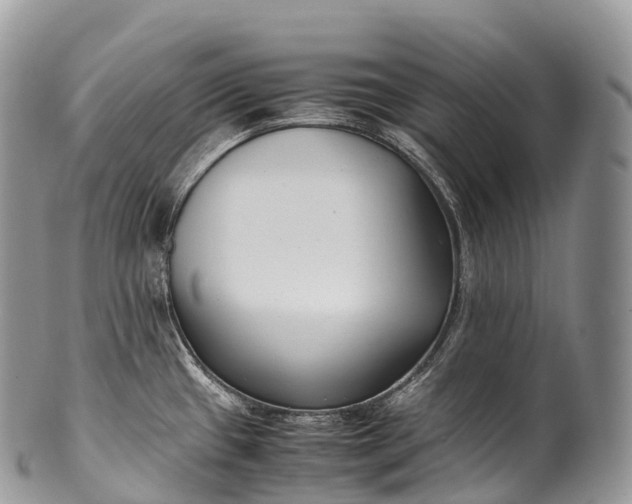 X0000100381433200806201640