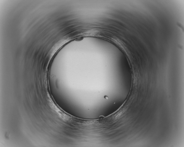X0000100381434200806201640
