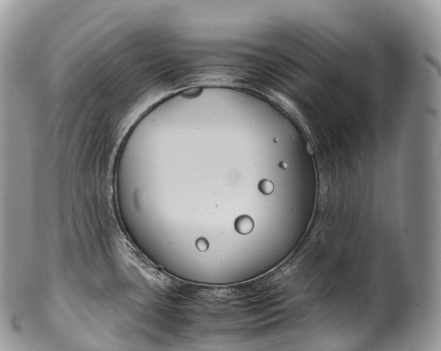 X0000100381435200806201640