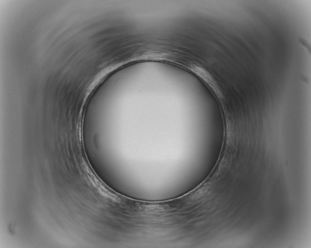 X0000100381436200806201640