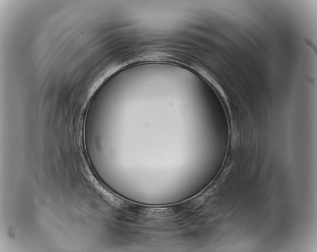 X0000100381437200806201640