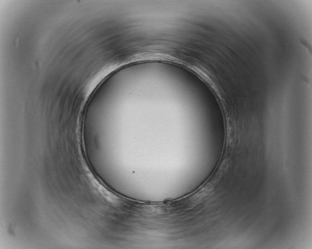 X0000100381438200806201640