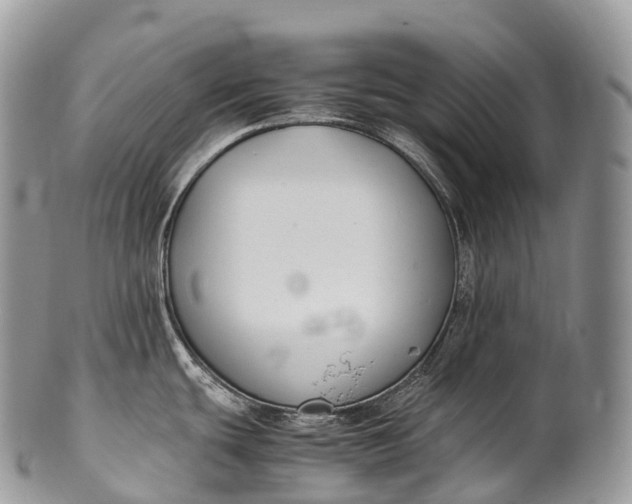 X0000100381439200806201640