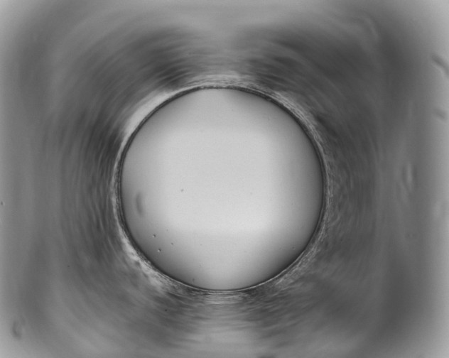 X0000100381440200806201640
