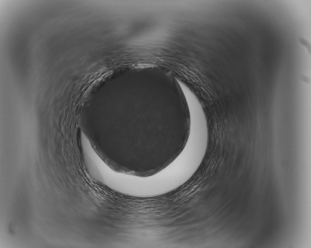 X0000100381441200806201640
