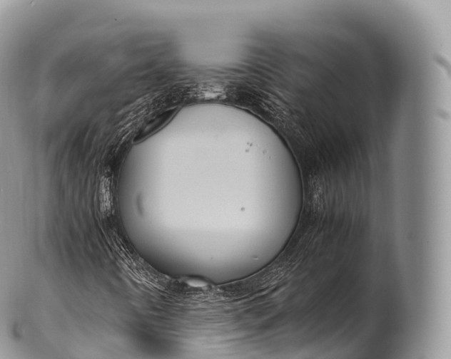 X0000100381442200806201640