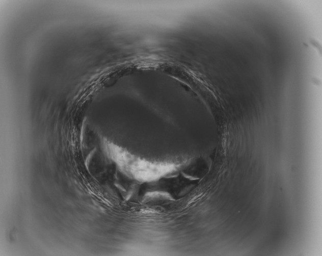 X0000100381445200806201640
