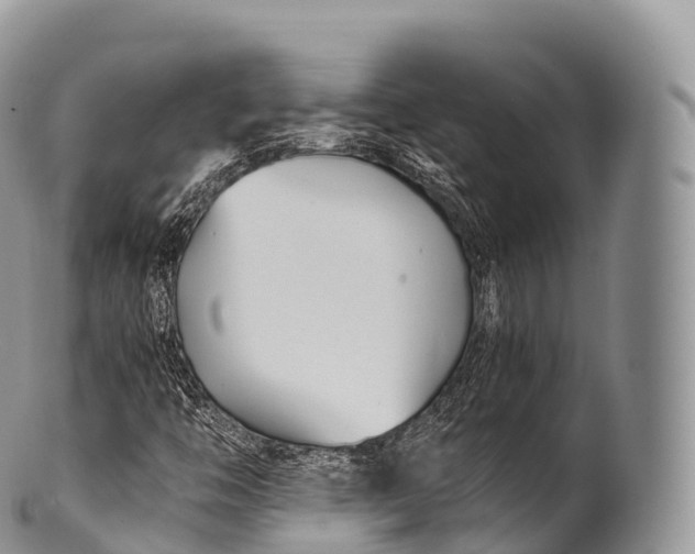 X0000100381446200806201639
