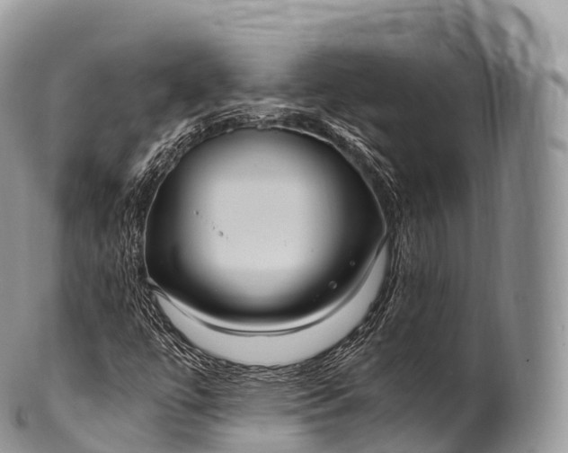 X0000100381447200806201639