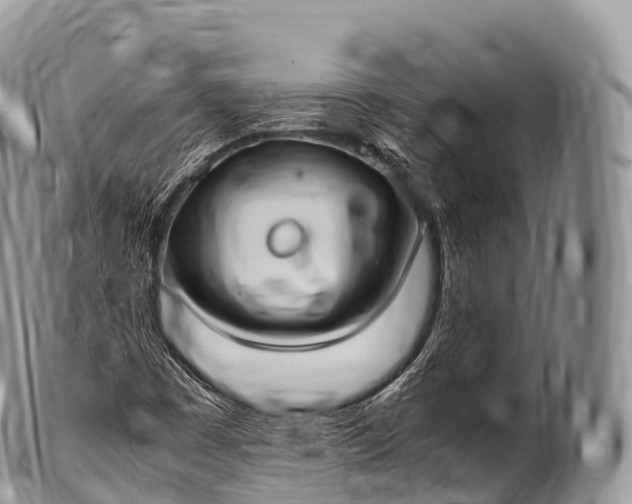 X0000100381449200806201639