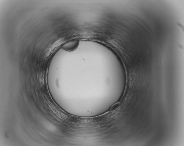 X0000100381451200806201639