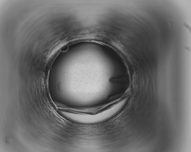 X0000100381452200806201639
