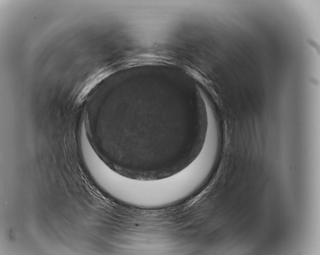 X0000100381453200806201639