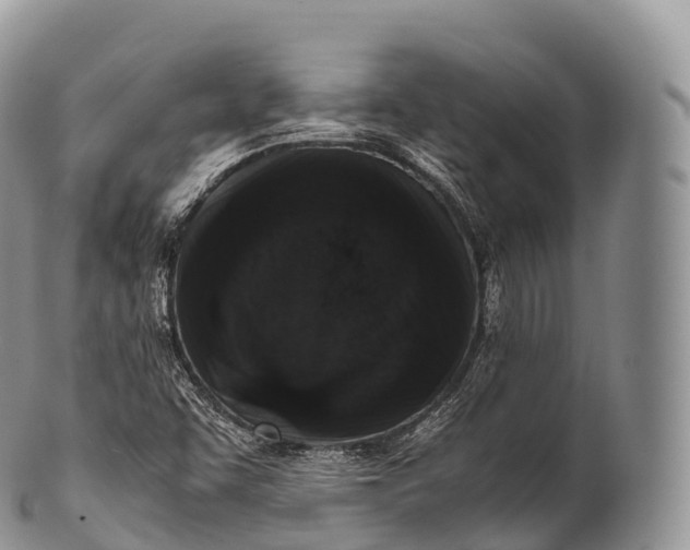 X0000100381455200806201639
