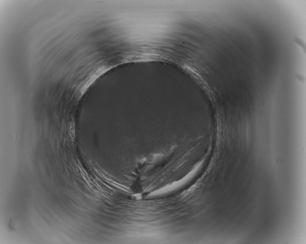 X0000100381457200806201639