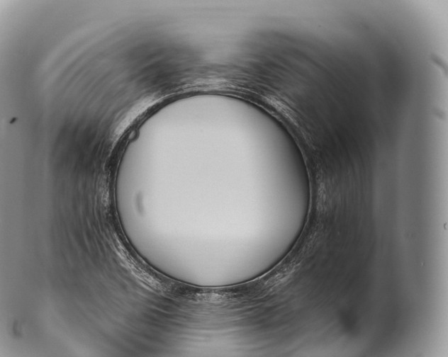 X0000100381458200806201639