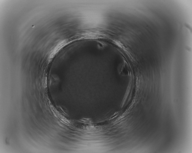 X0000100381459200806201639