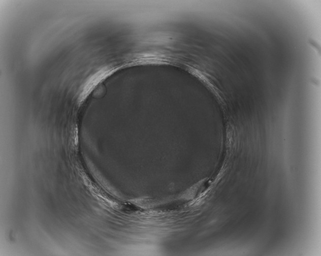X0000100381461200806201639
