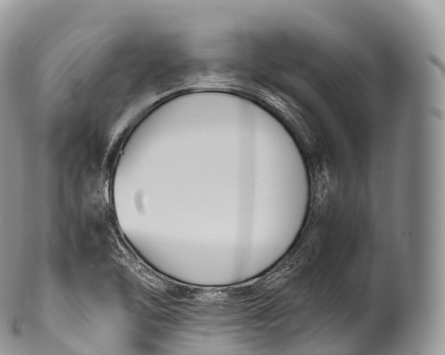X0000100381462200806201639