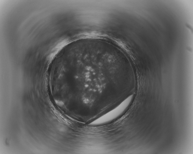 X0000100381463200806201639