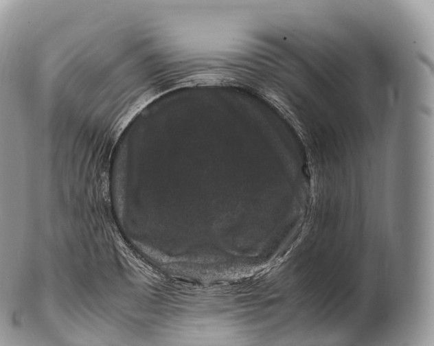 X0000100381465200806201639
