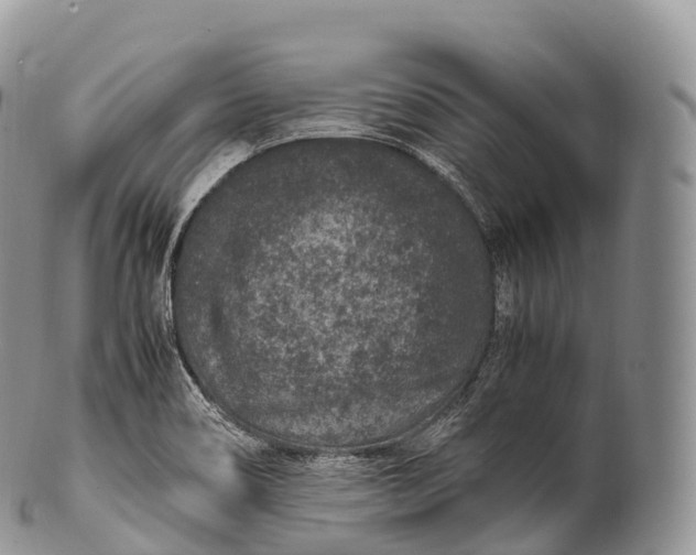 X0000100381466200806201639