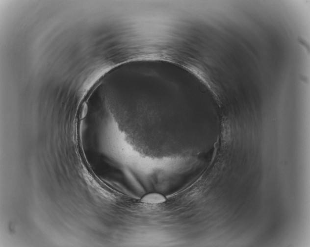 X0000100381468200806201639