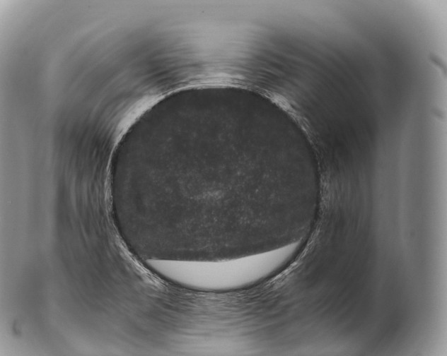 X0000100381469200806201639