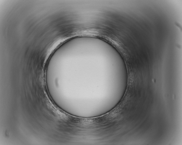 X0000100381470200806201639