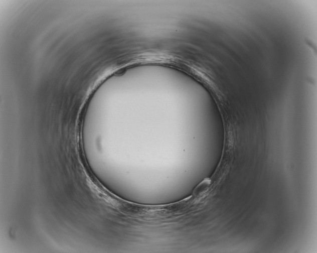 X0000100381471200806201639