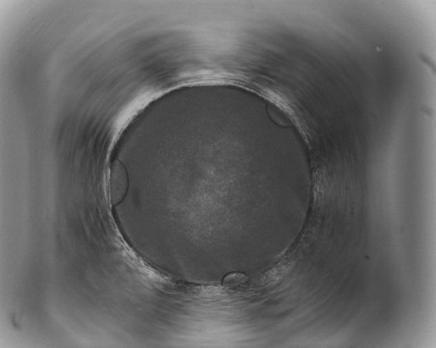 X0000100381472200806201639