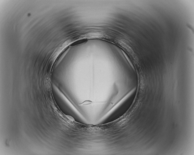 X0000100381473200806201639