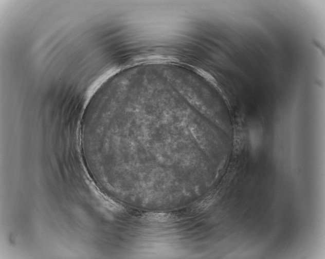 X0000100381474200806201639