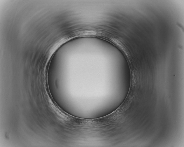 X0000100381475200806201639