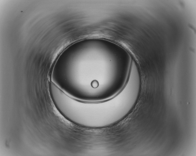 X0000100381476200806201639