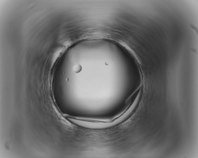 X0000100381477200806201639