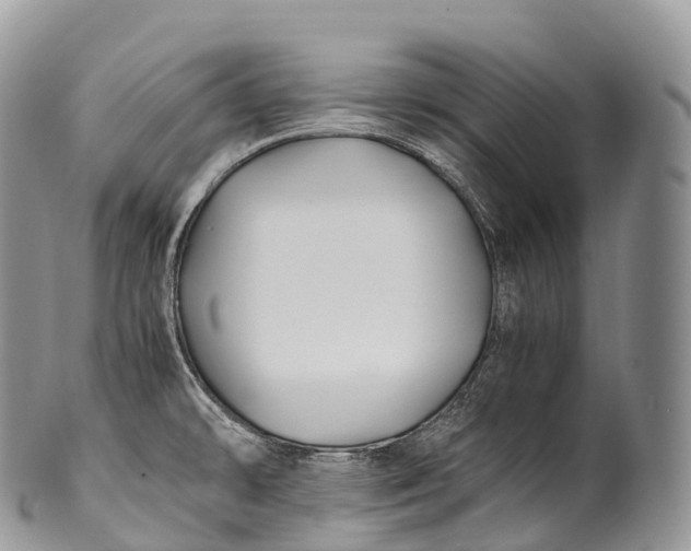 X0000100381478200806201639