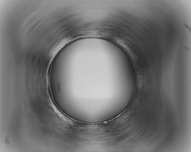 X0000100381479200806201639