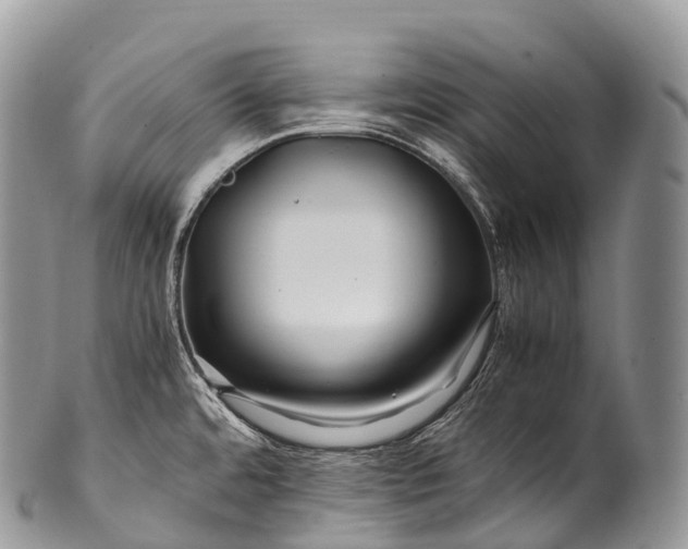 X0000100381480200806201639