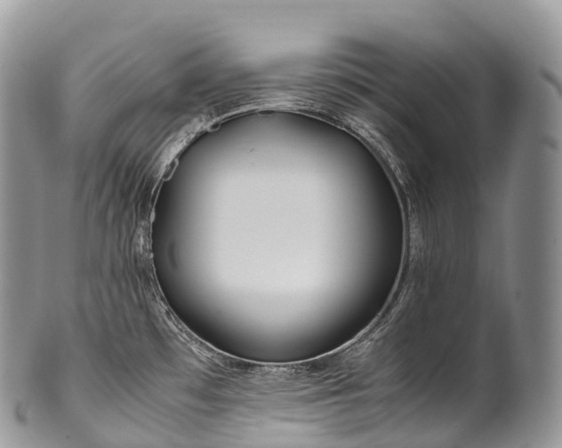 X0000100381481200806201639