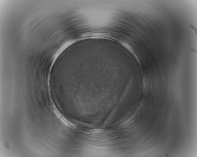 X0000100381482200806201639